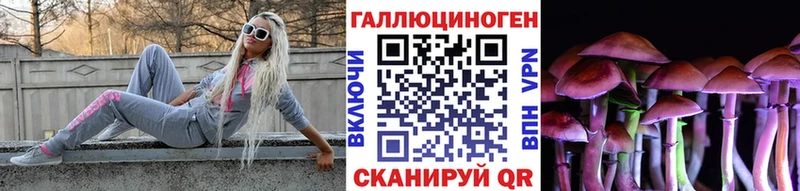 как найти   Минусинск  Галлюциногенные грибы Psilocybine cubensis 